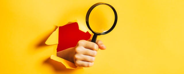 The Key to Detecting Misinformation? Your Own Curiosity 