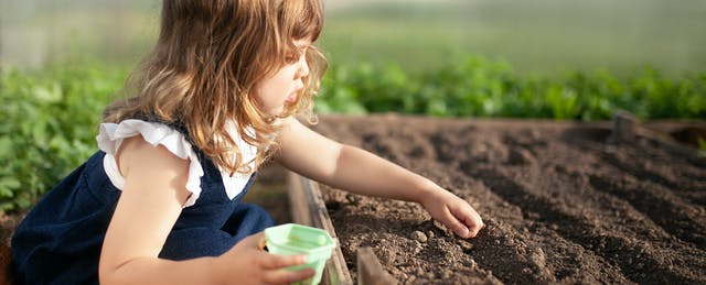 University Scholars Plant Seeds In a New Field of Study: Early Childhood Policy