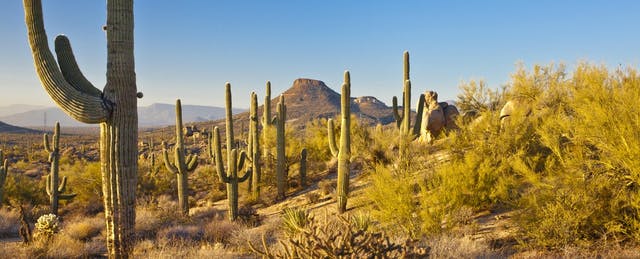 How One Community College Teaches Shakespeare Across the Desert