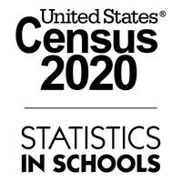 Statistics in Schools